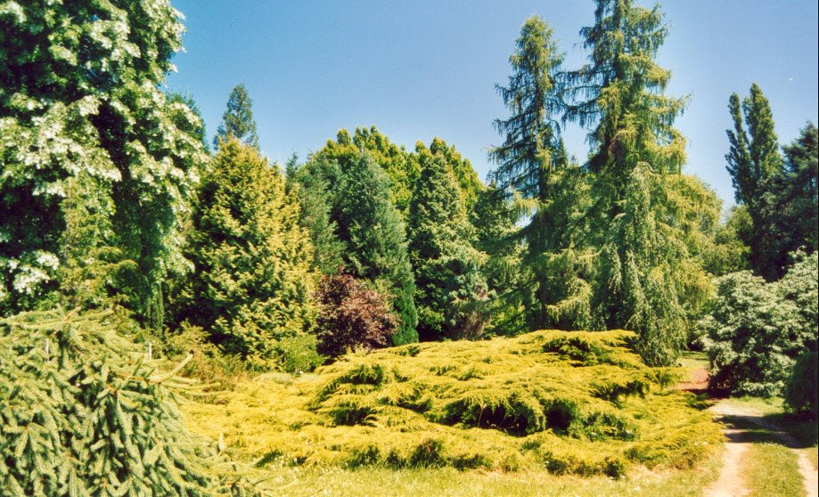 Arboretum National des Barres, Domaine Des Barres, France